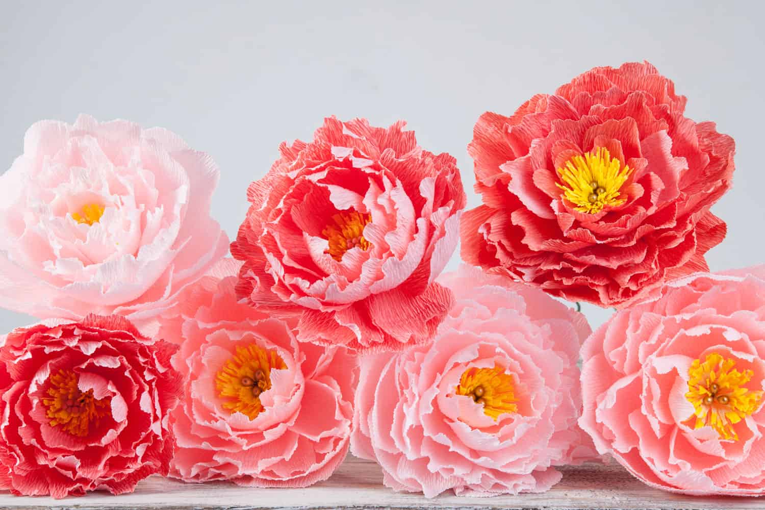 Hand made paper peonies flowers using crepe paper