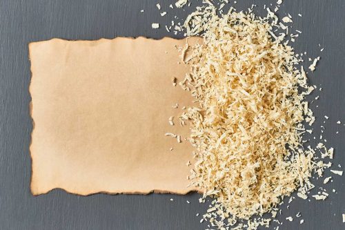 Read more about the article How to Make Paper From Sawdust or Wood [8 Steps]