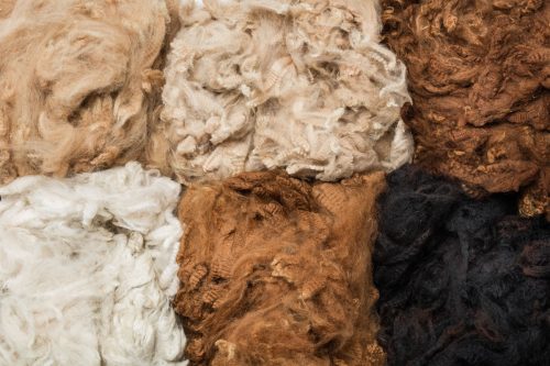 Read more about the article How Heavy Is Merino Wool [And How Many Pounds For A Blanket]?